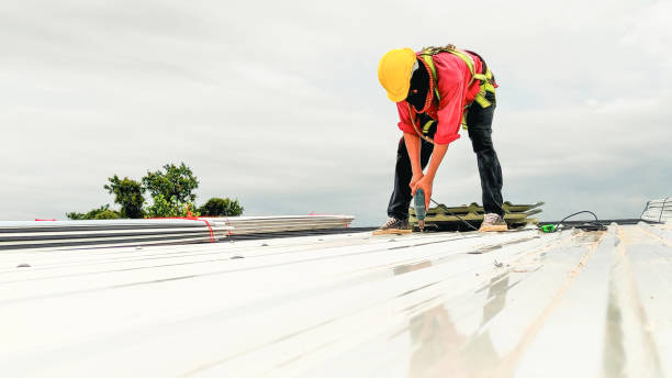 Best Sheet Metal Roofing  in Quarryville, PA